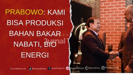 Prabowo Pamer Indonesia Bakal Mengganti Bahan Bakar Fosil, Sebut Brasil dan Kongo