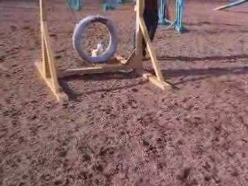 Agility2