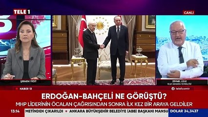 Zeynel Lüle Erdoğan - Bahçeli zirvesinde konuşulanları anlattı! 38 DEM belediyesine kayyım planı