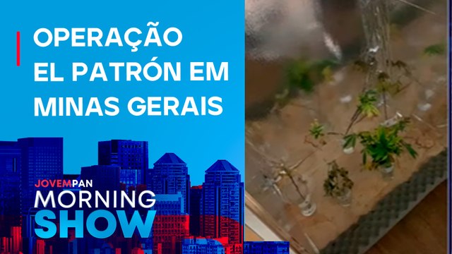 Polícia DESMANTELA ESQUEMA de TRÁFICO de DROGAS escondidas em pacotes de batata chips; SAIBA MAIS