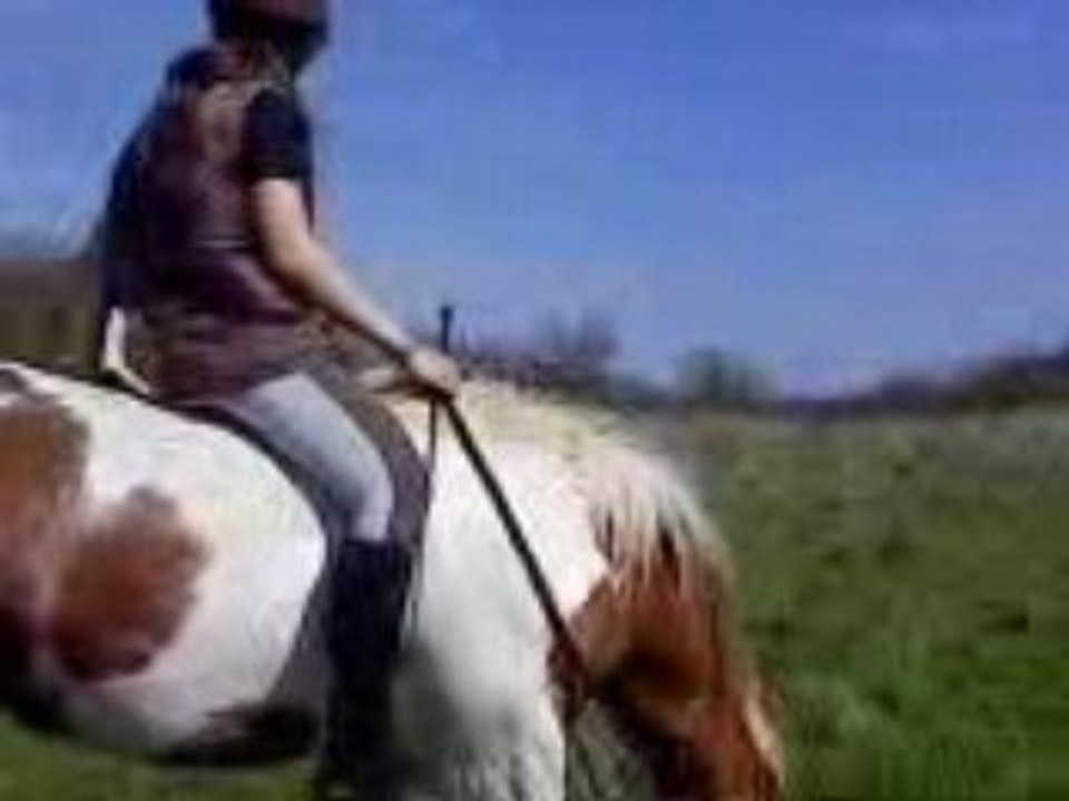 Video91