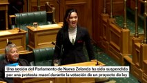 Diputados neozelandeses protestan en el Parlamento con una haka contra el proyecto de tratado indígena