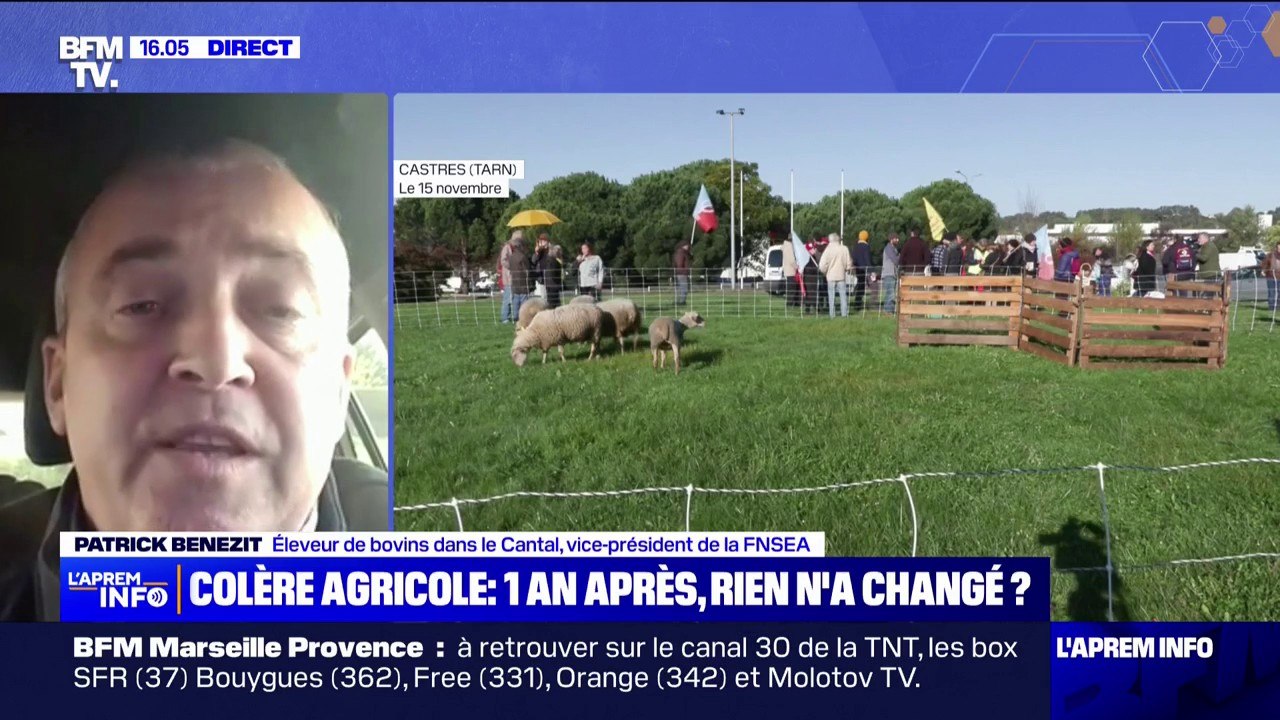 Accord Mercosur: "Tout ce qui est interdit chez nous est autorisé dans ces pays-là", assure  Patrick Benezit (vice-président FNSEA)