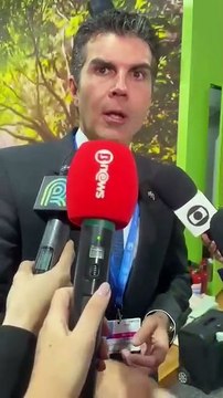 COP29: Governo do Pará inicia processo de concessão da Amazônia com remuneração em créditos de carbono