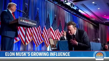 What to know about Elon Musk’s role in Trump’s new administration