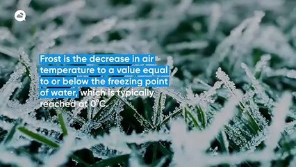 Frost: A phenomenon highly feared in the agricultural areas