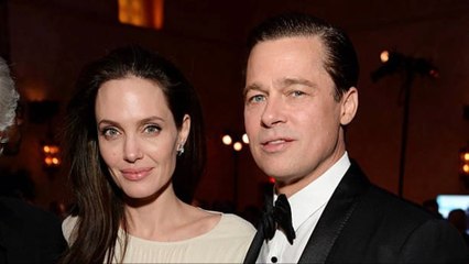 Brad Pitt Y Angelina Jolie Van A Juicio Por Su Bodega