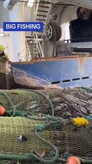 صيد حمولة كبيرة  من الأسماك ما شاء الله