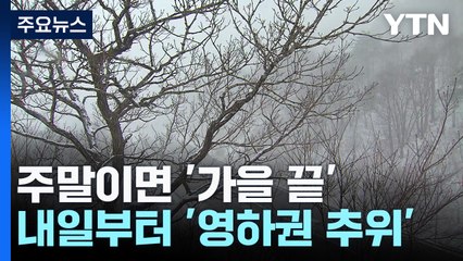 곳곳에 봄꽃...주말 지나면 '가을 끝' 영하 추위 온다 / YTN