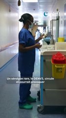 Epidémie de dengue en Guadeloupe : puis-je annuler mon vol et obtenir un remboursement ?