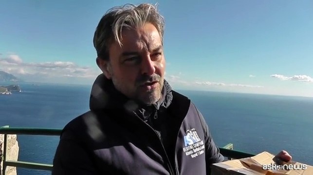 Un falco pellegrino curato e liberato a Capri spicca il volo sul mare