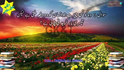 Discover Shocking Animal & Country Facts 🌍🐾 | Fun Quiz in Urdu/Hindi 2026 & 2025