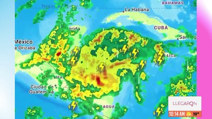 Llegaron las mujeres - 15 de noviembre 2024