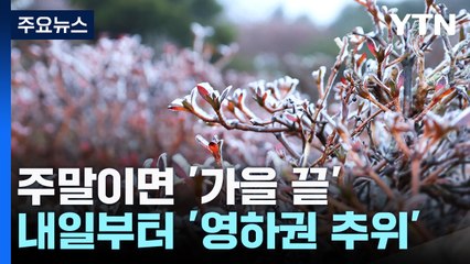 곳곳에 봄꽃...주말 지나면 '가을 끝' 영하 추위 온다 / YTN