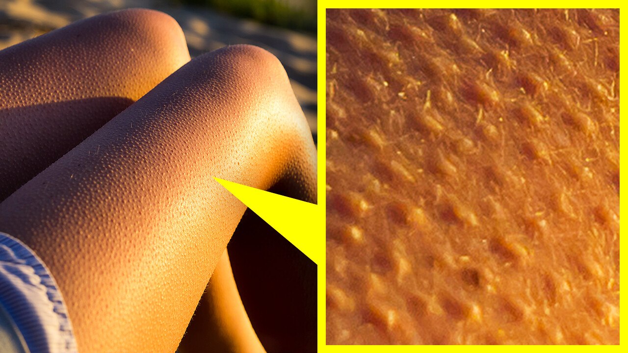 75 faits impressionnants à partager lors d'une fête