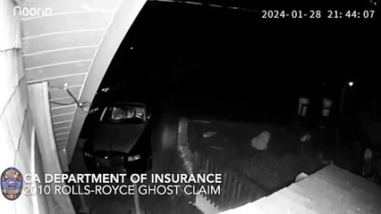 Grupo se fantasia de urso para danificar carros e conseguir seguro