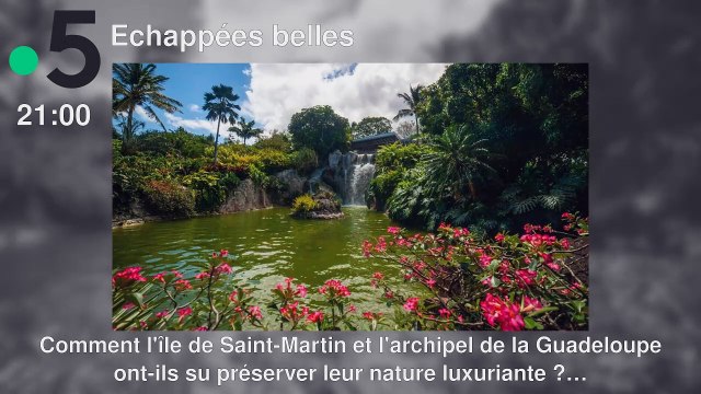 Programme TV soirée du Samedi 16 novembre 2024