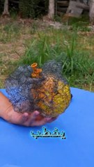 مشكلتي إني كداب 😂😂#نكت #فيديوهات مضحكة#ضحك #قصص #قصص_مضحكة#شورت #shortvideo #shorts