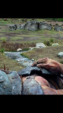 The best videos of Game Of Thrones ❤️ . . . #gameofthrones #emiliaclarke #daenerystargaryen #jonsnow #HBO #gameofthronesedit #HBOMax #tyrionlannister #houseofdragons #houseofdragon #dragons ❤️