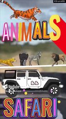 ANIMALS of Safari #wildlife #shorts895