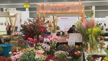 '사계절 꽃 다 모였다'...양재플라워페스타 개막 / YTN