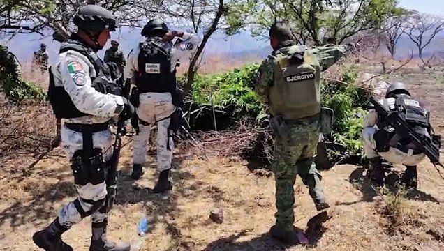 Guardia Nacional y Ejército Mexicano aseguran 11 armas de fuego de alto poder y vehículos en Sonora