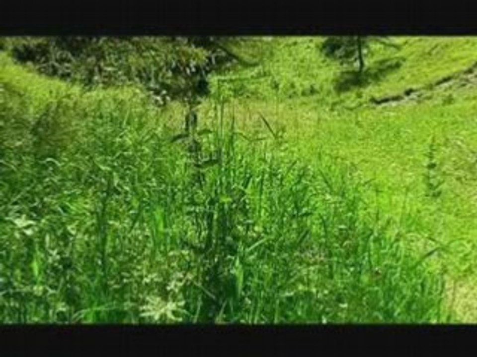 Furious VTT - Virtuous production