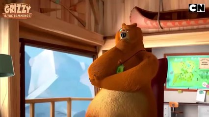 Grizzy and The Lemmings 🐻 | Vacation from Chaos 😆| | Only on Cartoon Network