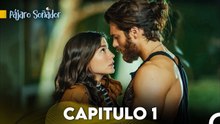 Pájaro soñador - Capitulo 1 (Audio Español - Larga Capitulo) - Erkenci Kuş