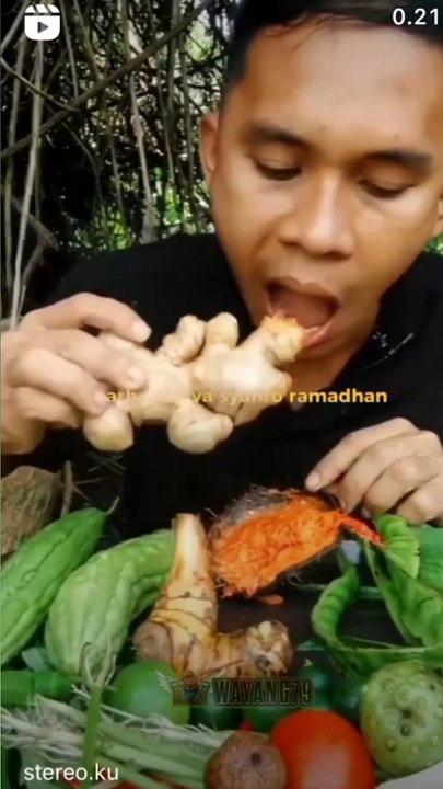kelucuan warga +62