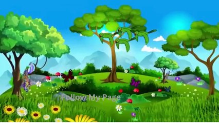 Barish Chidya  चिड़िया  Episode New  Chidiya Wala Cartoon Tuni AchiAchiHindi Kahani