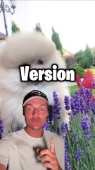 Teste seu Conhecimento com Este Desafio de Animais de Bebês 🐾