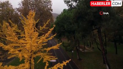 Bursa Sonbahar Renklerine Büründü