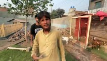 shehar mein dehat ep 88 2024 animal mini zoo New Goats Ko Shift Kr Dia