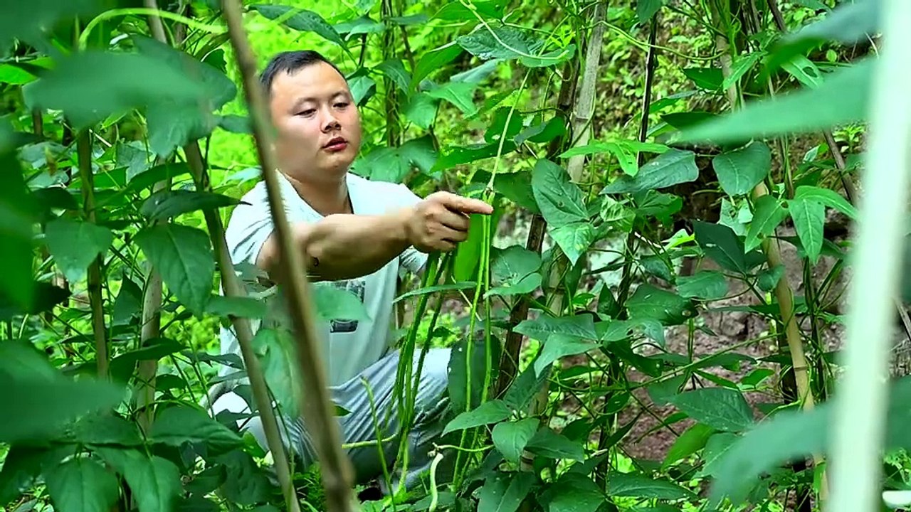 Fermented green beans