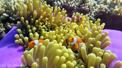 THE MOST Incredible Tourist Spots You Have to Visit