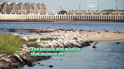 Shrinking shores and dying fish: The catastrophic water levels of the Caspian Sea, near COP29 host