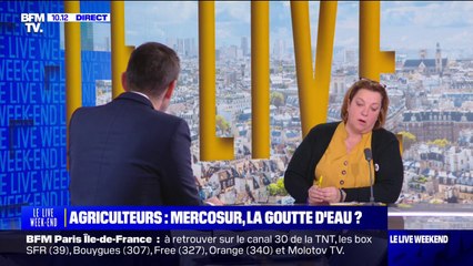 "On est en concurrence déloyale": les agriculteurs opposés au traité UE-Mercosur
