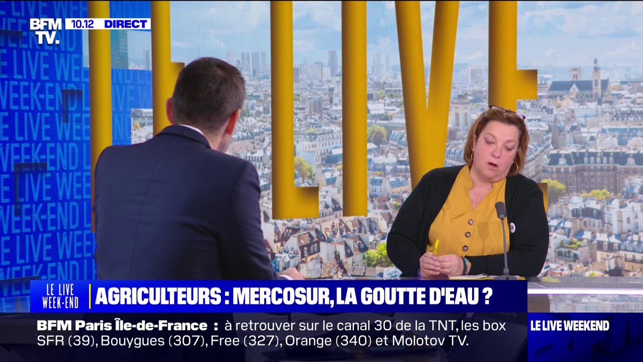 "On est en concurrence déloyale": les agriculteurs opposés au traité UE-Mercosur