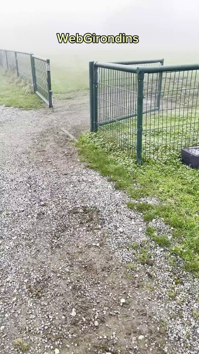 Entrainement du 05 novembre 2024 - Girondins de Bordeaux