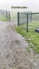 Entrainement du 05 novembre 2024 - Girondins de Bordeaux