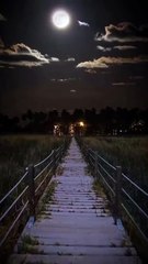 Heartfelt Sad Songs to Express Your Emotions 💔