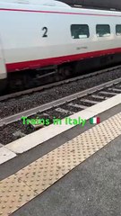 Trains in Rome Italy 🇮🇹_highspeedtrain _train _italy _travel _romeitaly _railway _italytrain(360P)