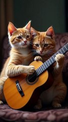 Cat Playing Guitar