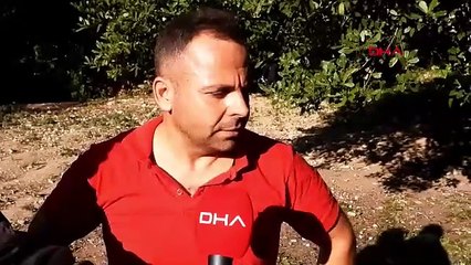 Doğada kendiliğinden yetişiyor, 400 TL'den alıcı buluyor
