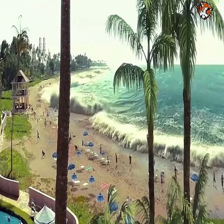 The Tsunami Survivor