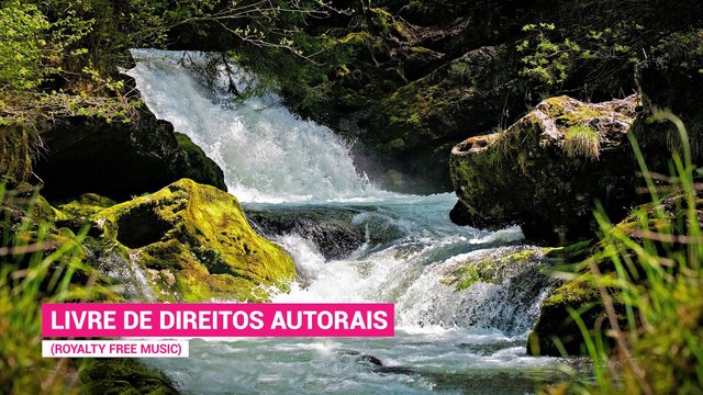 ✅Música Tai Chi Chuan ambiente calmante para equilibrar as energias positivas- Zen e bem-estar