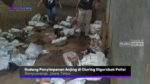 Gudang Penyimpanan Anjing di Cluring Banyuwangi Digerebek Polisi, Sebanyak 64 Ekor Anjing Rencananya Akan Diangkut ke Solo Ini Kronologinya