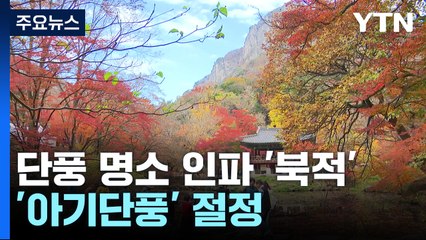 울긋불긋 오색 단풍 유혹...'지스타'엔 구름 인파 / YTN