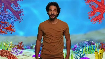 Sing Along with Ms Rachel, Elmo & Abby: Learn the Colors of the Rainbow 🌈